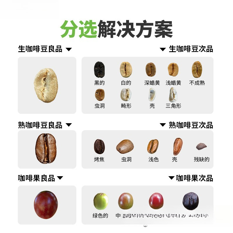 커피 색상 분류기 전문 검별 커피 생두 및 익은 커피  - Coffee Equipment And Tools 리뷰 및 가격